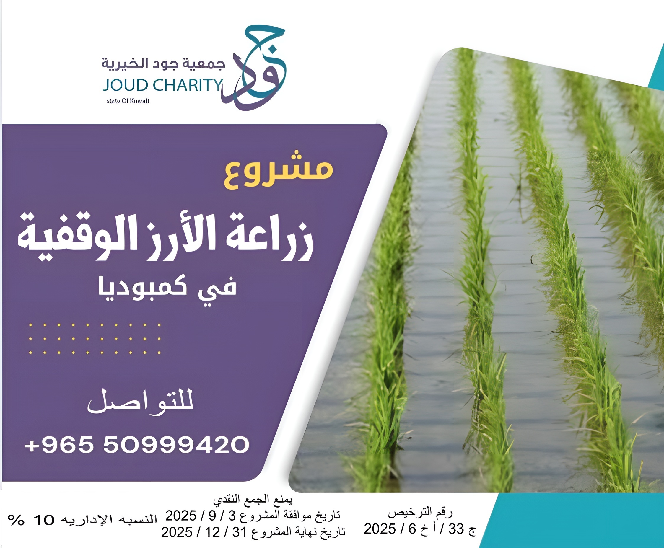 مشروع زراعة الأرز الوقفية في كمبوديا